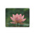 Tranquil Lotus - Kids' Puzzle, 30-Piece