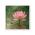 Tranquil Lotus - Die-Cut Magnets