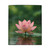 Tranquil Lotus - Polyester Blanket