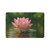 Tranquil Lotus - Pet Food Mat (12x18)