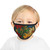 Nature's Mosaic Dance - Kid's Face Mask