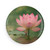 Tranquil Lotus - Button Magnet, Round (1 & 10 pcs)