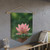 Tranquil Lotus - Pennant