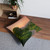 Embrace Your Journey - Tufted Floor Pillow, Square