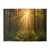 Serene Forest Retreat - Greeting Cards (7 pcs)