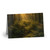 Serene Forest Retreat -  Greeting Cards (1 or 10-pcs)