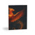 Celestial Phoenix Dance - Greeting cards (8, 16, and 24 pcs)