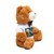Curiosity Unleashed - Teddy Bear with T-Shirt