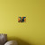 Curiosity Unleashed - Acrylic Wall Art Panels