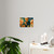 Curiosity Unleashed - Acrylic Wall Art Panels