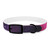 Celestial Mirage - Dog Collar