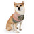 Harmony in Nature - Pet Bandana Collar