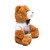 Harmony in Nature - Teddy Bear with T-Shirt