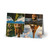 Timeless Journeys -  Greeting Cards (1 or 10-pcs)