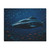 Deep Sea Voyager - Placemat, 1pc