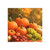 Harvest Table Gathering - Post-it® Note Pads