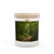 Path of Enlightenment - Frosted Glass Candle, 11oz