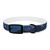 Celestial Spellbinder - Dog Collar