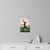 Serenity in Motion - Wall Decals