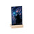 Celestial Spellbinder - Acrylic Sign with Wooden Stand