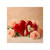 Eternal Love Blossoms - Transparent Outdoor Stickers, Square, 1pc