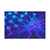 Cognitive Circuitry - Flag