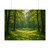 Emerald Forest Glade - Rolled Posters