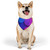 Radiant Circle Harmony - Pet Bandana Collar