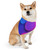 Radiant Circle Harmony - Pet Bandana Collar