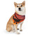 Skyward Journey - Pet Bandana Collar