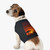 Savanna Sunset Serenade - Pet Tank Top