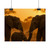 Gentle Giants at Dusk - Rolled Posters