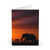 Savanna Sunset Serenade - Greeting Cards (5 Pack)