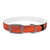 Skyward Journey - Dog Collar