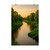 Serene River Valley - Rolled Posters