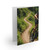 Pedal Power Journey - Greeting cards (8, 16, and 24 pcs)