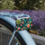 Microbial Galaxy - Mini License Plate