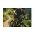 Pedal Power Journey - Canvas Art Wraps, 1.6"