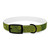 Nature's Grateful Embrace - Dog Collar