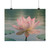 Serene Lotus Bliss - Satin Posters (210gsm)