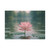 Serene Lotus Bliss - Fine Art Postcards