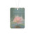 Serene Lotus Bliss - Car Air Freshener