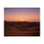 Desert Dawn - Rolled Posters
