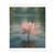 Serene Lotus Bliss - Velveteen Microfiber Blanket (Two-sided print)