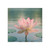 Serene Lotus Bliss - Post-it® Note Pads