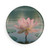 Serene Lotus Bliss - Button Magnet, Round (1 & 10 pcs)