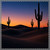 Twilight Desert Dreams - Tablecloths