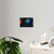 Midnight Magic - Acrylic Wall Art Panels