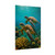 Dancing Sea Turtles - Rolled Posters