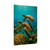 Dancing Sea Turtles - Rolled Posters